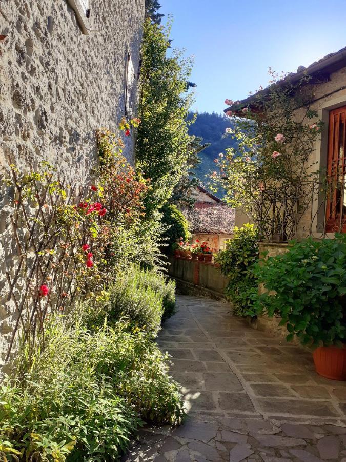 Albergo La Baita Corfino Экстерьер фото